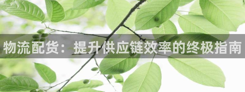 28圈下载体育