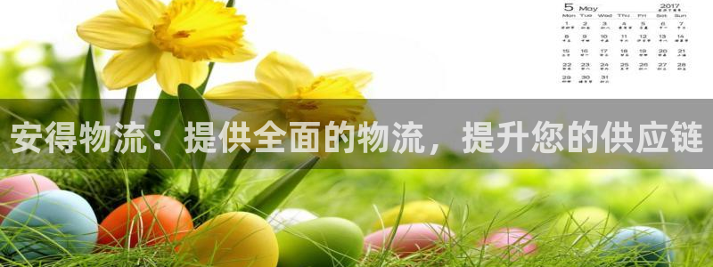 28圈软件