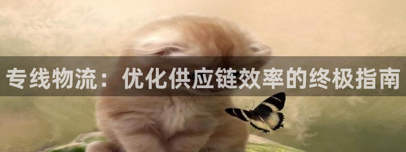28圈链接来一个