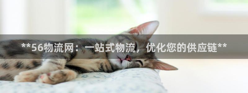 28圈链接来一个