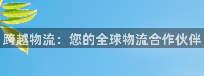 28圈加拿大是什么