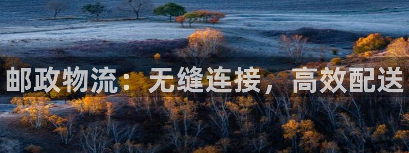 28圈充值不到账怎么办