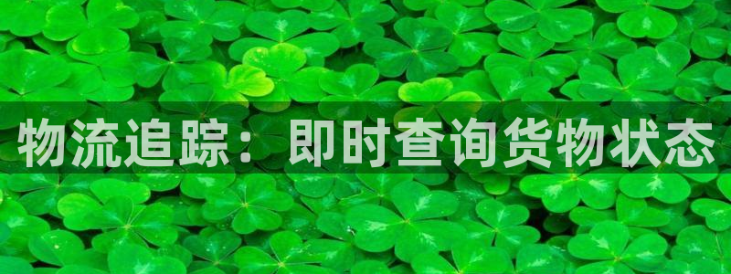 28圈反水怎么算