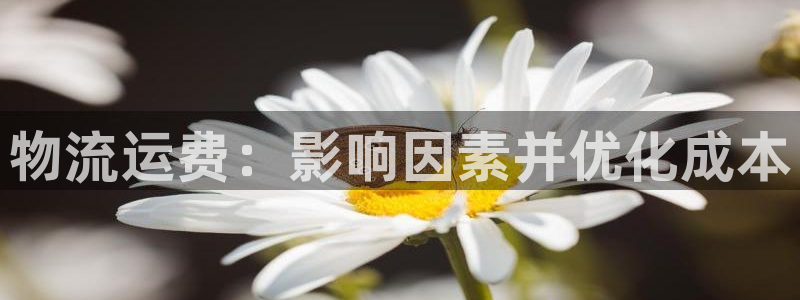 28圈游戏