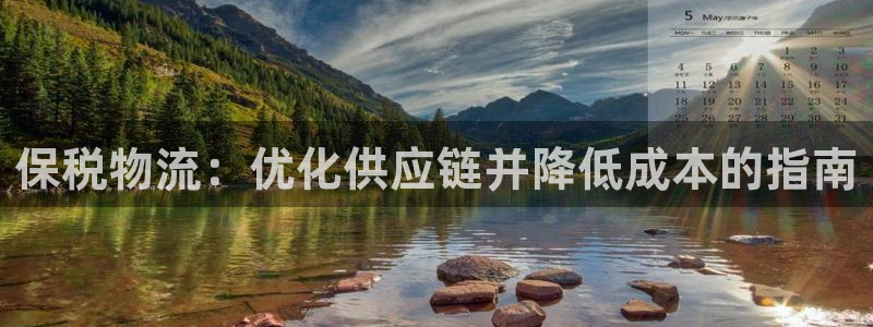28圈代理落网
