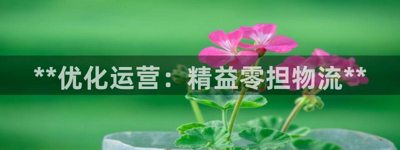 28圈正规吗?