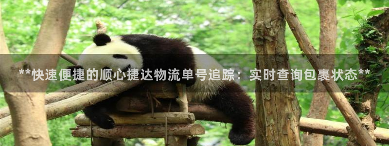 28圈流水怎么算