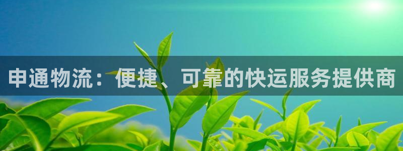 28圈.ccm