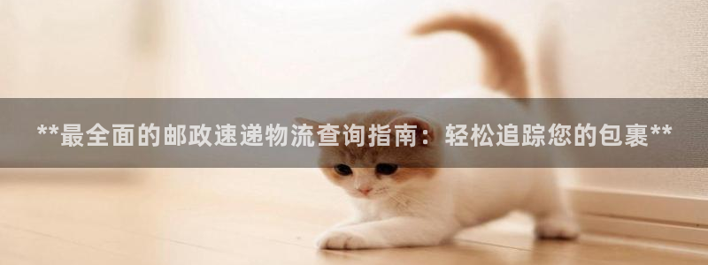 28圈反水