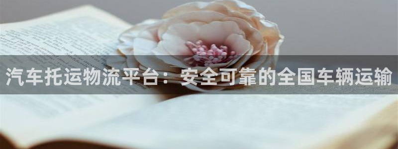 28圈官方官网