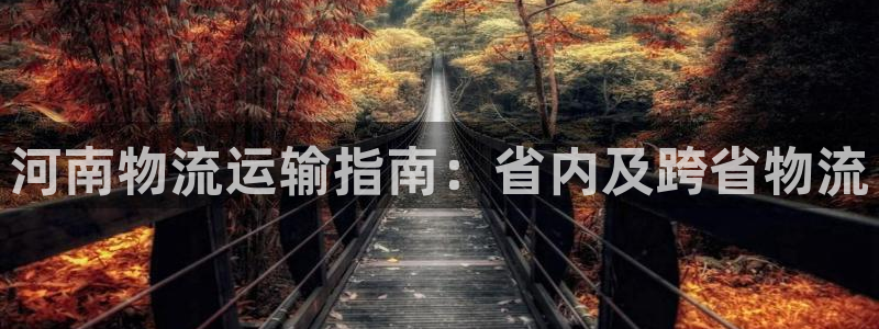 28圈怎么下载教程