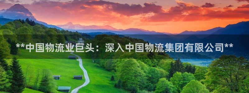 28圈退款