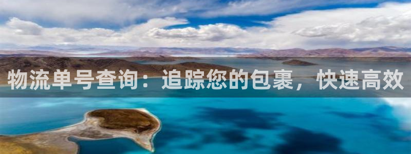 28圈加拿大真假怎么看