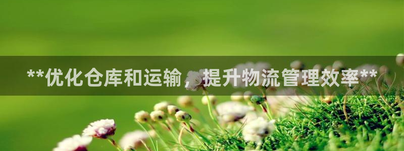 28圈注册步骤:**优化仓库和运输,