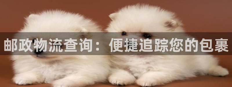 28圈黑款