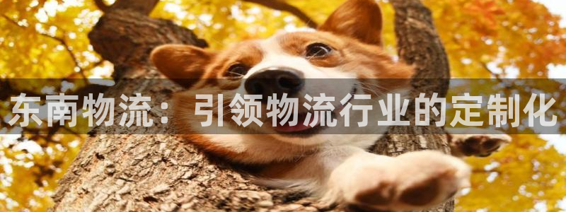 28圈怎么下载