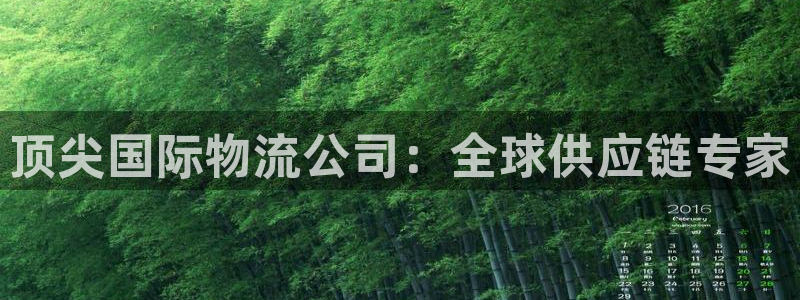 28圈预测加拿大师准