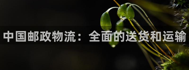 28圈如何看012路计划