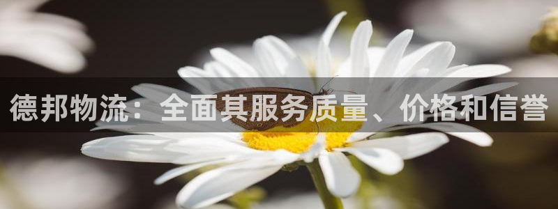28圈.ccm南宫:德邦物流:全面其