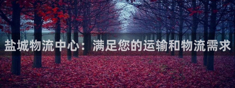 28圈推广链接是多少
