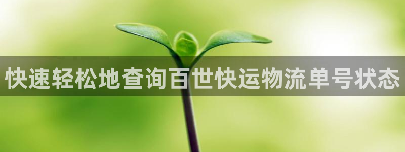 28圈是干嘛的