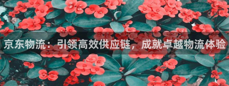 28圈h5链接