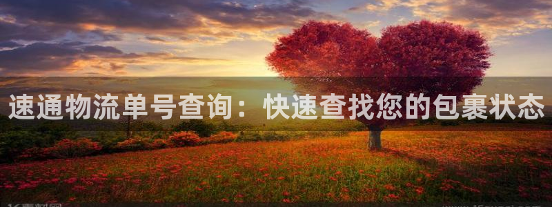 28圈网赌案件