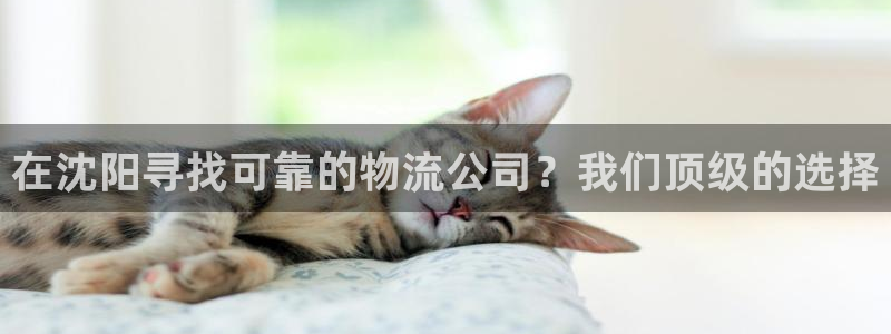 28圈充值不到账