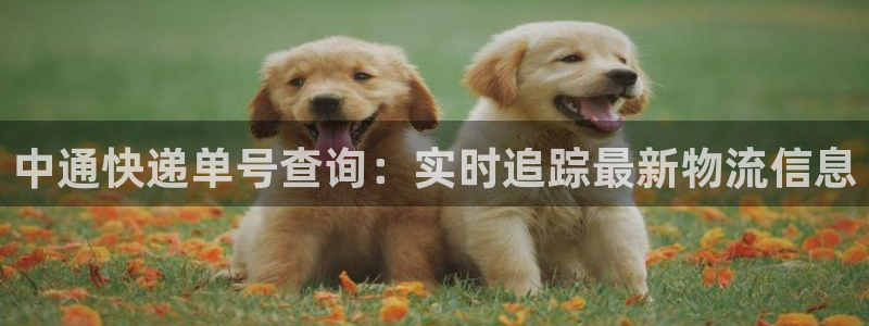 28圈提款一直没到