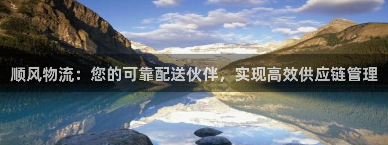 28圈龙虎