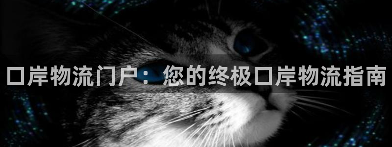 28圈APP是干什么的