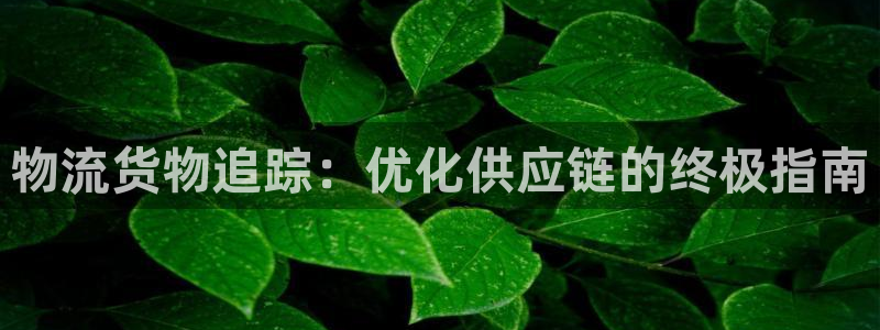 28圈注册链接教程：物流货物追踪：优