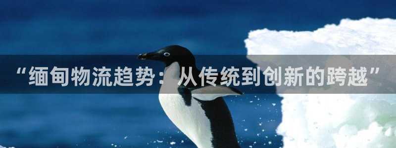 28圈玩法