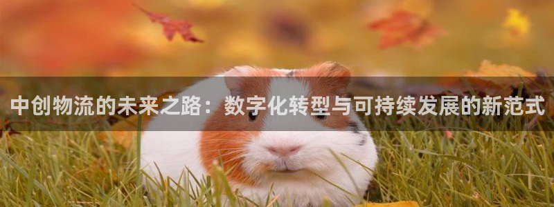 28圈最稳打法