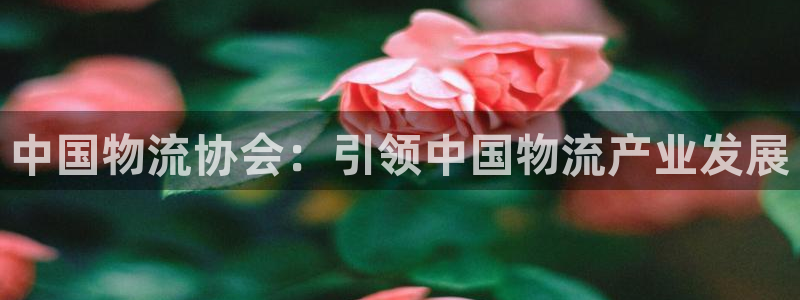 28圈游戏：中国物流协会：引领中国物