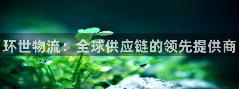 28圈app赢了500万