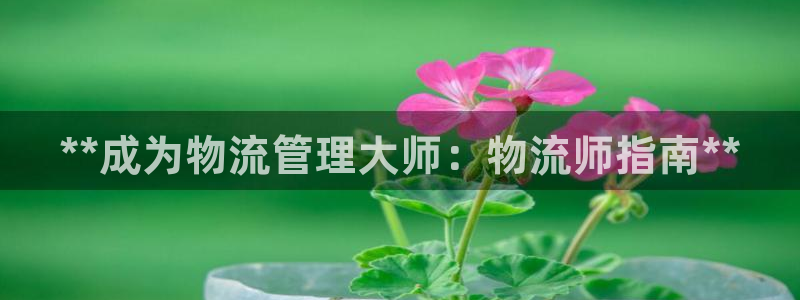 28圈v6能卖多少：**成为物流管理