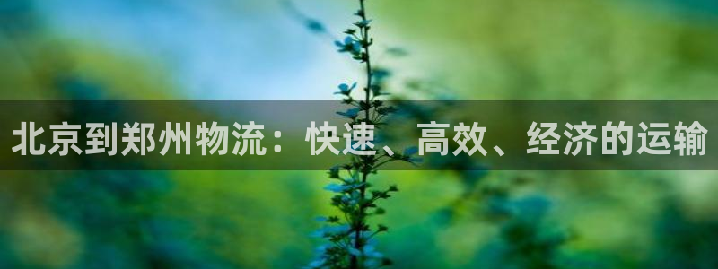 28圈v6能卖多少：北京到郑州物流：