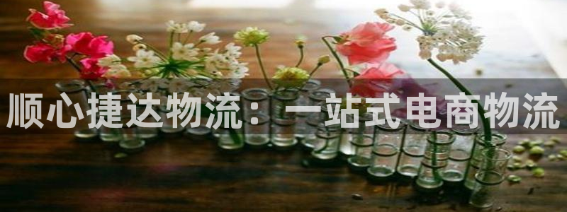 28圈里的财神