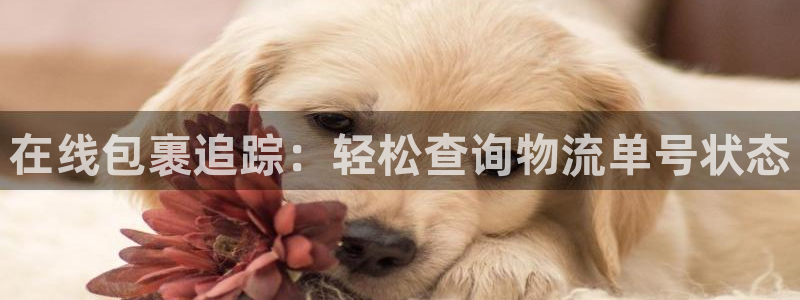 28圈连接