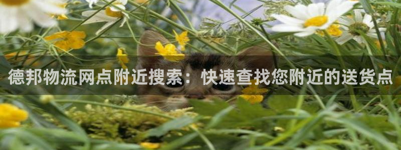 28圈初始资金密码在哪里改