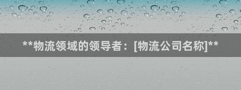 28圈加拿大28：**物流领域的领导
