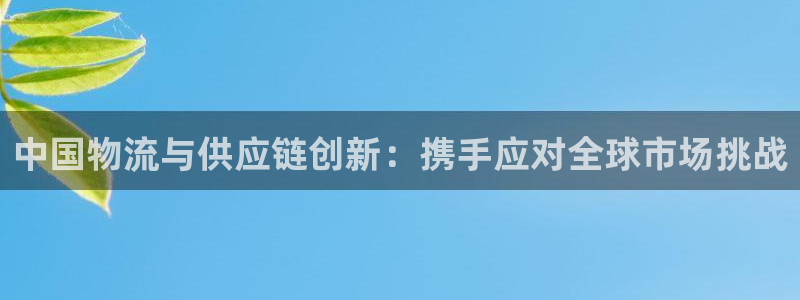 28圈下载体育：中国物流与供应链创新：携手应对全球市场挑战