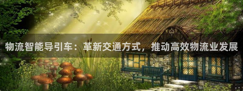 28圈官方官网