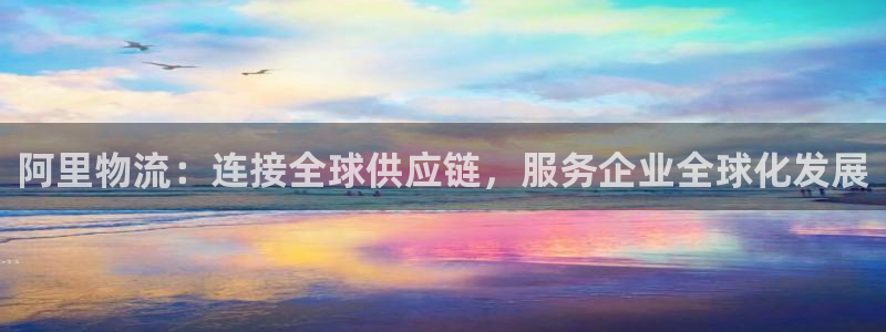 28圈是啥：阿里物流：连接全球供应链