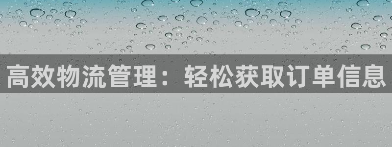 28圈注册上限是啥意思：高效物流管理：轻松获取订单信息