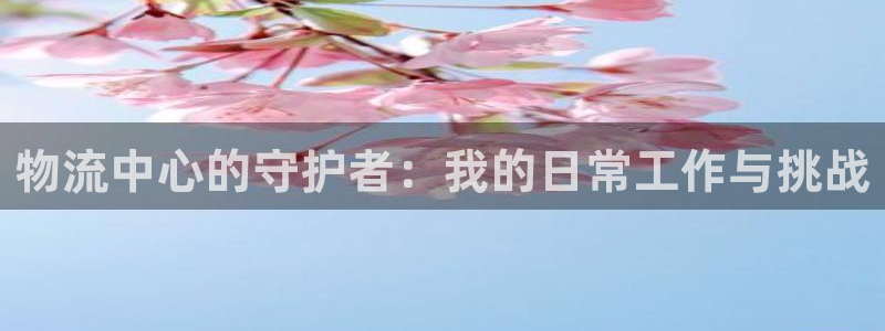 28圈怎么下载教程