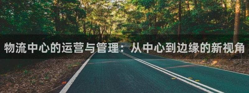 28圈电子游戏：物流中心的运营与管理