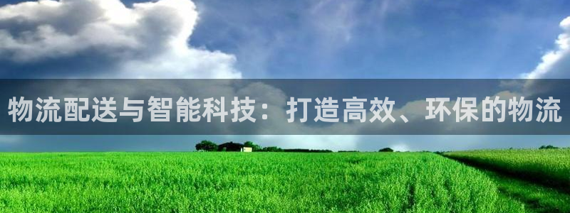 28圈推广链接是多少粉丝：物流配送与智能科技：打造高效、环保