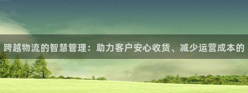 28圈反水怎么算：跨越物流的智慧管理